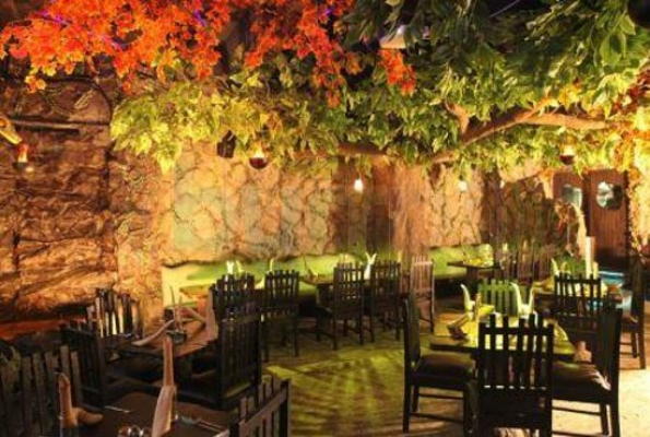 Rainforest Resto-Bar 4