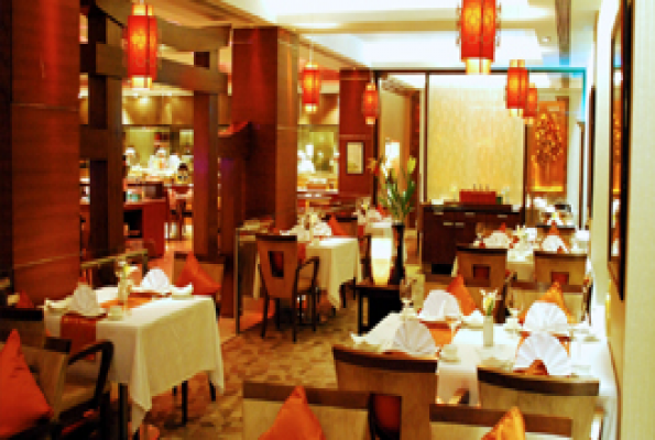 Hotel Hindusthan International