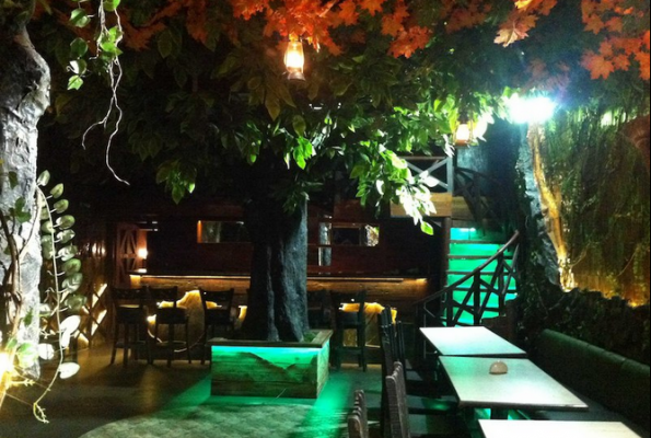 Rainforest Resto Bar 2