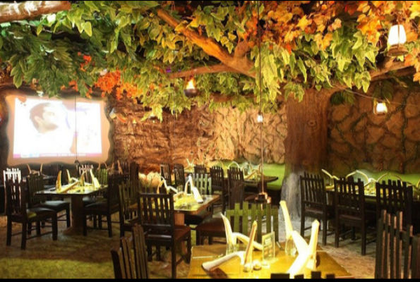 Rainforest Resto Bar