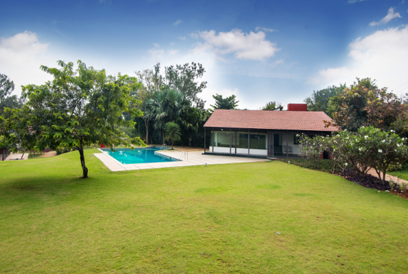 Tranquil Woods By Jade 3