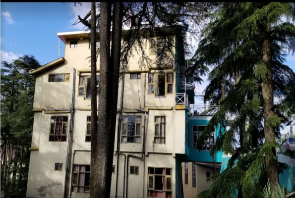 Hotel Chail Inn 3