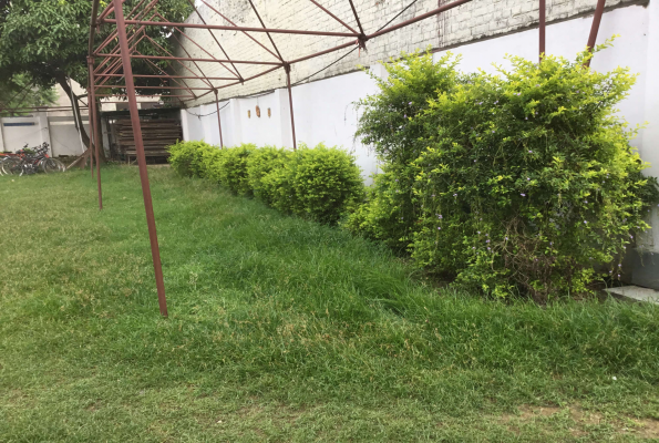 Parwati Marriage Lawn 2