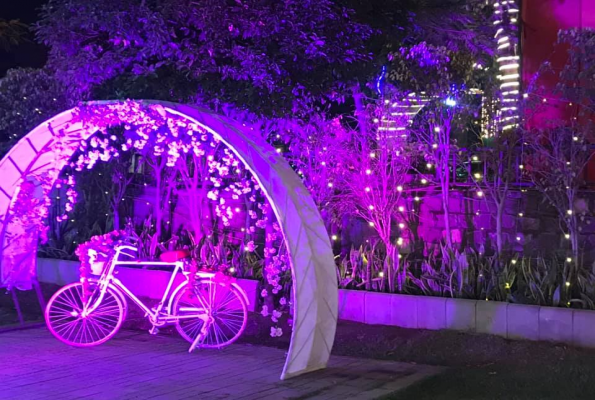 Marigold Marriage Garden 2