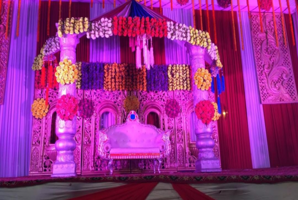 Maa Bhagwati Palace 2