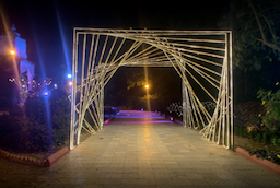 Purple Orchids Party Plot