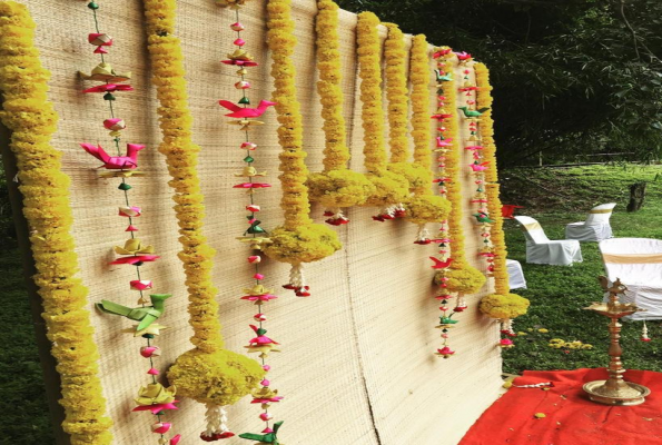 Behind Wood Resort 4