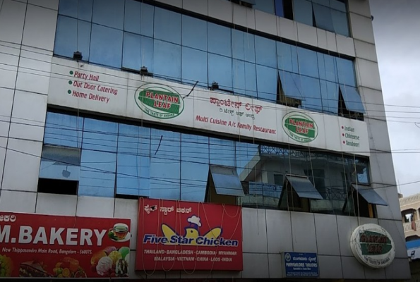 Plantain Leaf Grand 3