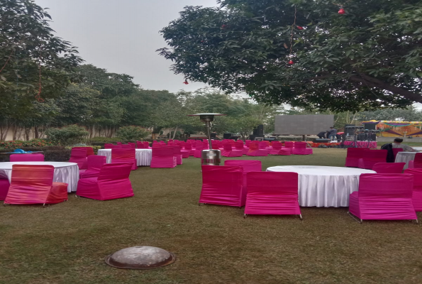 The Mango Tree By Shay Hospitality 4