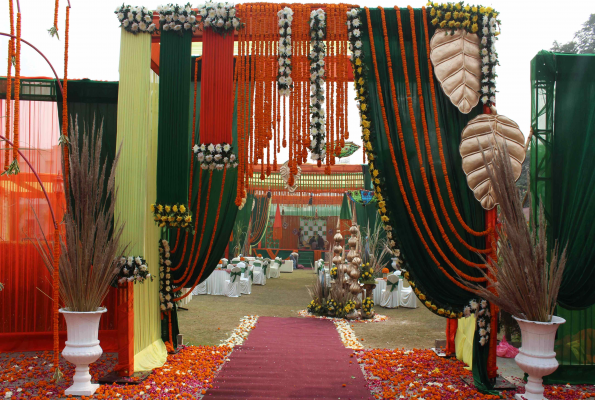 The Stellar Gymkhana 1