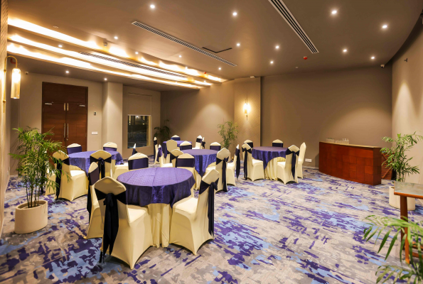 The Stellar Gymkhana 1