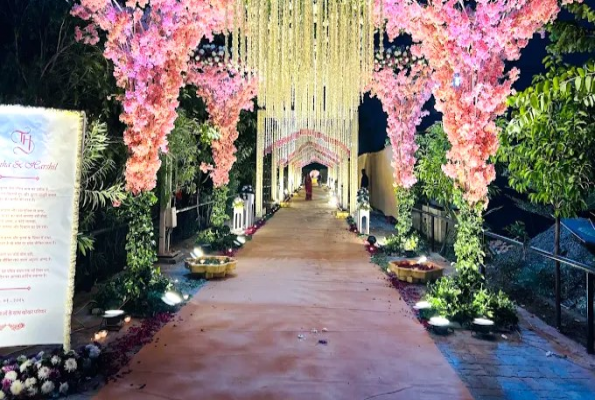 Ruta Farm Party Plot