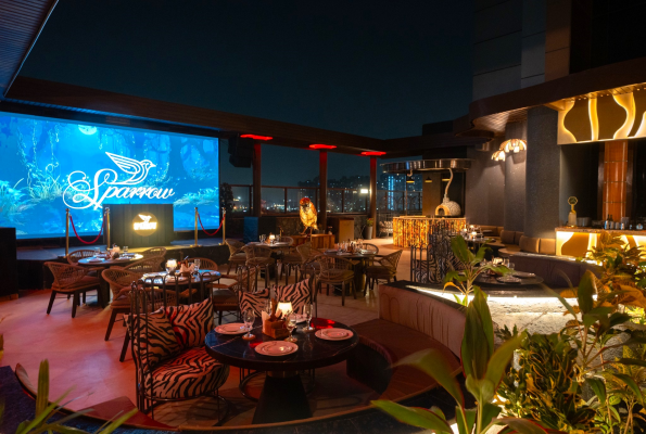 Sparrow Noida
