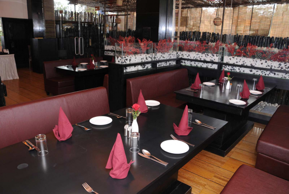 Dont Tell Mama Fine Dine Restaurant 2