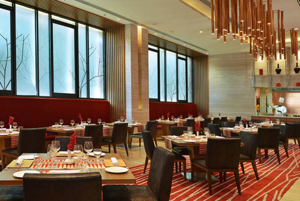 My Fortune, Bengaluru