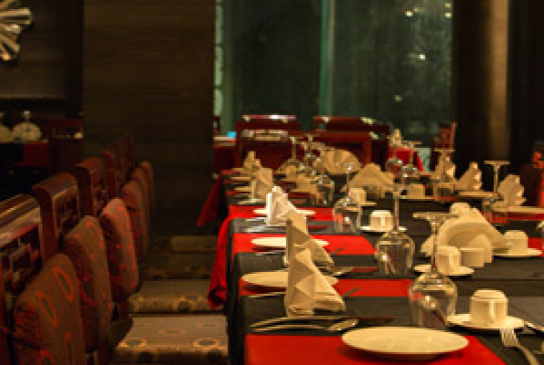 Vesta International 1