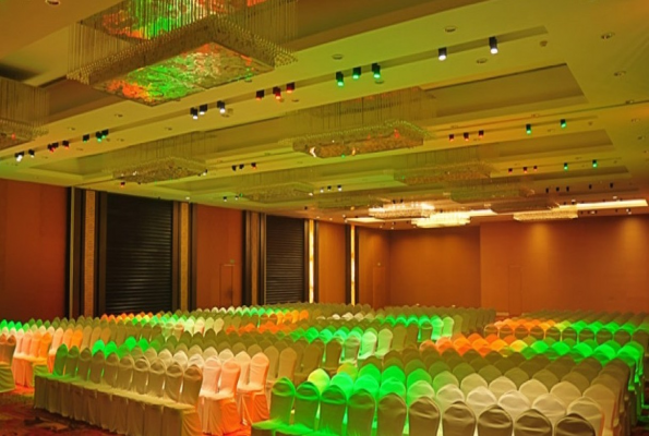 Manasarovar The Fern 1