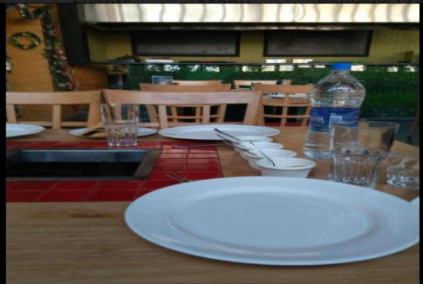 Sigree Global Grill 1