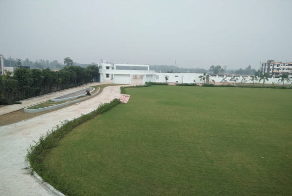 Velvet Orchid Resort 5