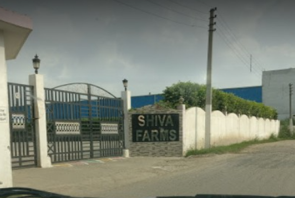 Shiva Farms 2