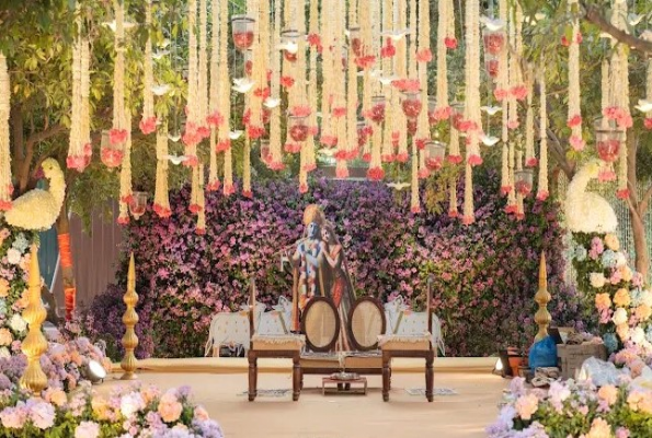 Ruta Farm Party Plot